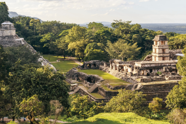 Ruinas arqueológicas de Palenque rodeadas por la exuberante selva de Chiapas, México.