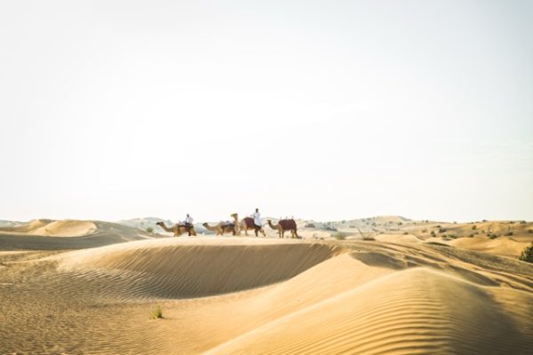 Medio Oriente con kandura y gatra montado en un camello en el desierto, excursión en emiratos árabes