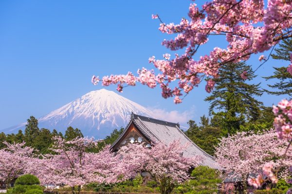 Vista del monte fuji