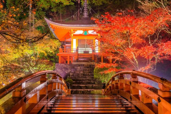 Daigo-ji Temple, Kyoto, Japan during the autumn night light up.