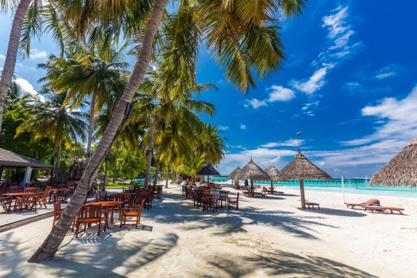 Playa tropical en Maldivas con palmeras y una vibrante y acogedora laguna, uno de los grandes viajes organizados por línea Tours Retiro